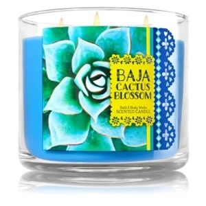 Bath and Body Works Baja Cactus Blossom Candle